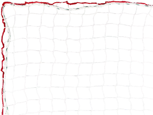 Filet antichute Spider-Net 1,50 x 10 m